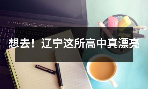 想去!辽宁这所高中真漂亮
