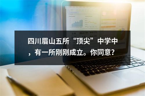 四川眉山五所“顶尖”中学中,有一所刚刚成立。你同意?