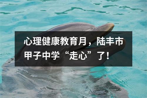心理健康教育月,陆丰市甲子中学“走心”了!