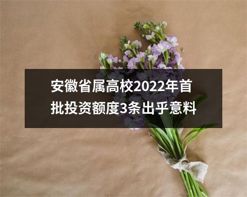 安徽省属高校2022年首批投资额度3条出乎意料