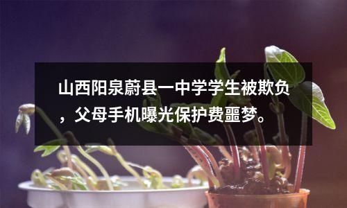 山西阳泉蔚县一中学学生被欺负,父母手机曝光保护费噩梦。