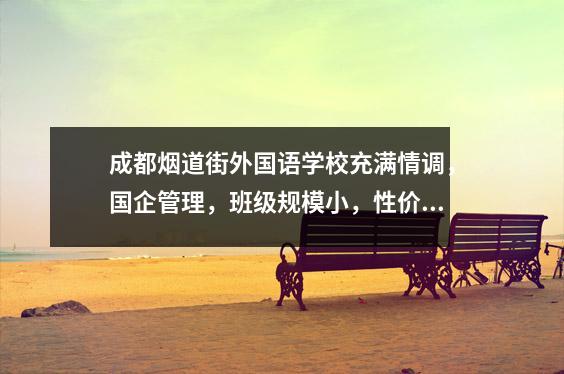 成都烟道街外国语学校充满情调,国企管理,班级规模小,性价比极高。