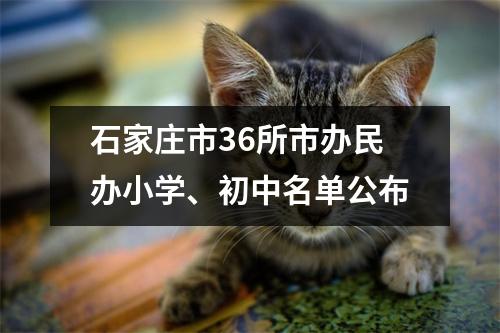 石家庄市36所市办民办小学、初中名单公布