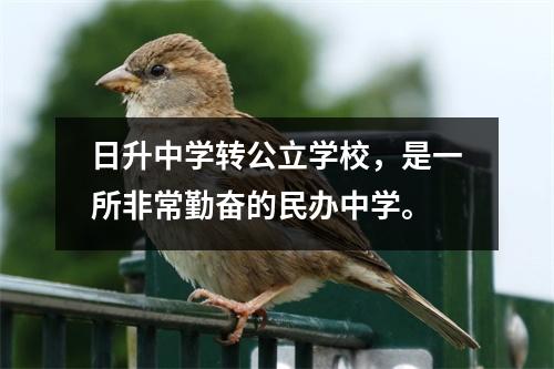 日升中学转公立学校,是一所非常勤奋的民办中学。