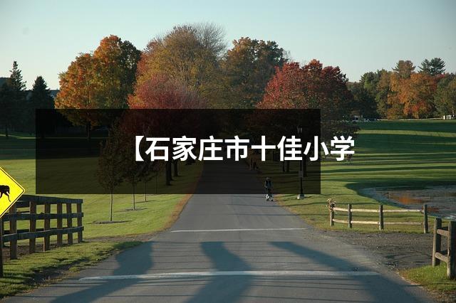 【石家庄市十佳小学