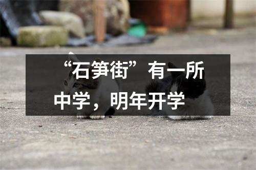 “石笋街”有一所中学,明年开学