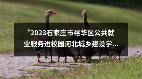 “2023石家庄市裕华区公共就业服务进校园河北城乡建设学校专场招聘会活动”成功举办