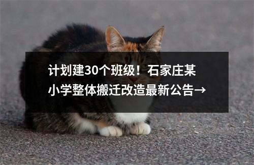 计划建30个班级!石家庄某小学整体搬迁改造最新公告→