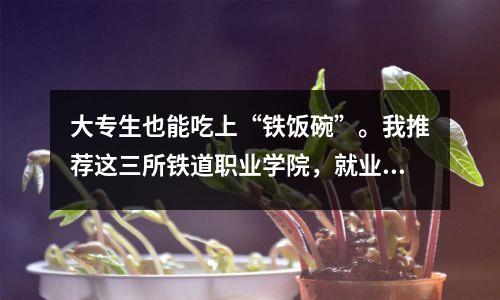 大专生也能吃上“铁饭碗”。我推荐这三所铁道职业学院,就业好。