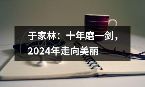 于家林:十年磨一剑,2024年走向美丽