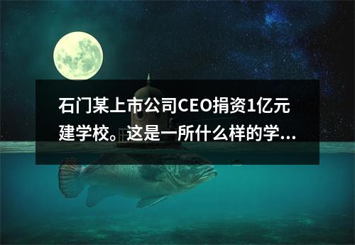 石门某上市公司CEO捐资1亿元建学校。这是一所什么样的学校?