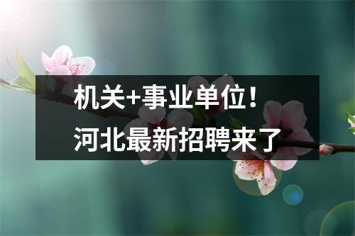 机关+事业单位!河北最新招聘来了