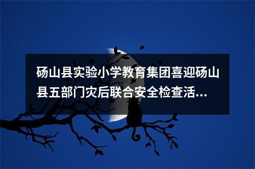 砀山县实验小学教育集团喜迎砀山县五部门灾后联合安全检查活动
