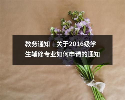 教务通知|关于2016级学生辅修专业如何申请的通知