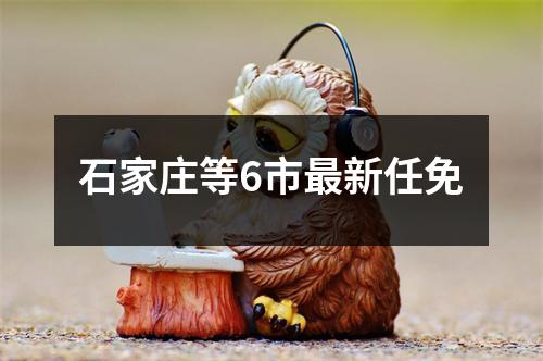 石家庄等6市最新任免