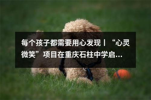 每个孩子都需要用心发现丨“心灵微笑”项目在重庆石柱中学启动