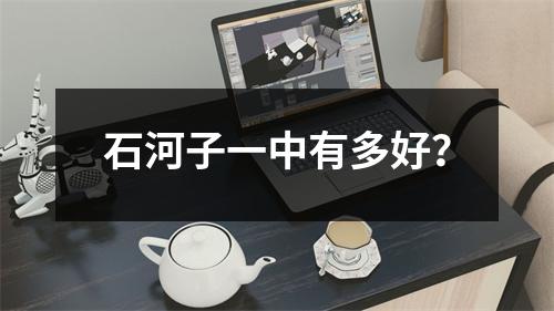 石河子一中有多好?