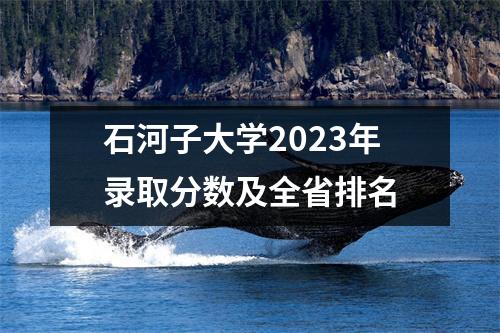 石河子大学2023年录取分数及全省排名