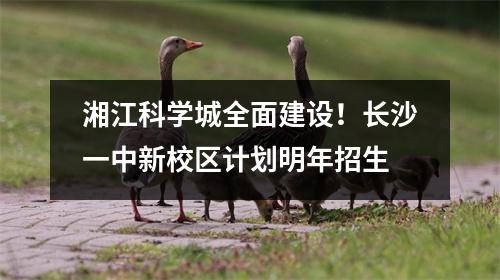湘江科学城全面建设!长沙一中新校区计划明年招生