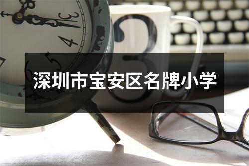 深圳市宝安区名牌小学