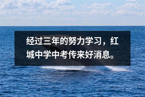 经过三年的努力学习,红城中学中考传来好消息。
