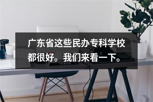 广东省这些民办专科学校都很好。我们来看一下。