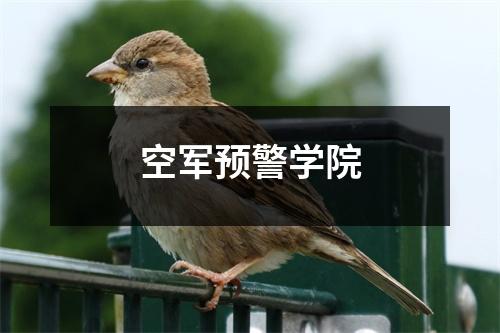 空军预警学院