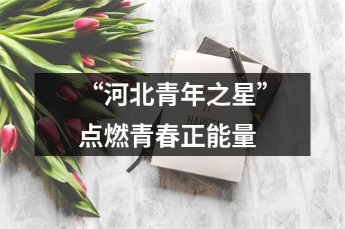 “河北青年之星”点燃青春正能量