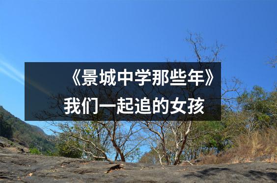《景城中学那些年》我们一起追的女孩