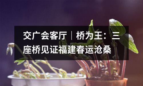交广会客厅|桥为王:三座桥见证福建春运沧桑