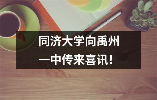 同济大学向禹州一中传来喜讯!