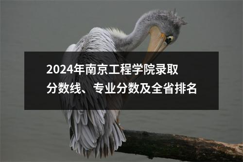 2024年南京工程学院录取分数线、专业分数及全省排名