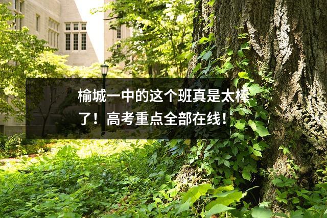 榆城一中的这个班真是太棒了!高考重点全部在线!