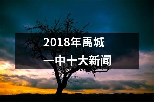 2018年禹城一中十大新闻