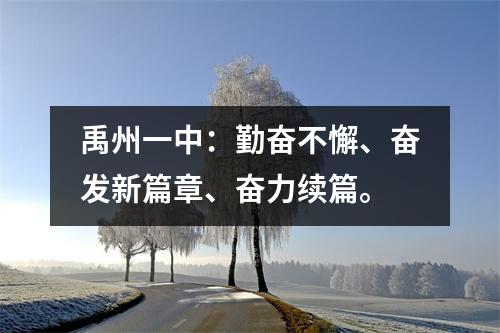 禹州一中:勤奋不懈、奋发新篇章、奋力续篇。