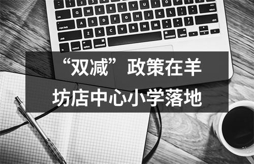 “双减”政策在羊坊店中心小学落地