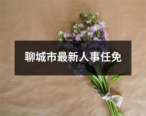 聊城市最新人事任免