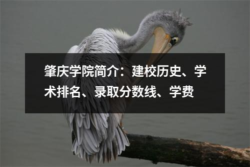 肇庆学院简介:建校历史、学术排名、录取分数线、学费
