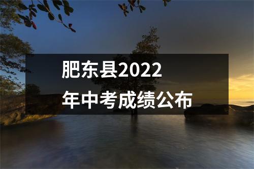 肥东县2022年中考成绩公布