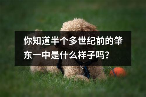 你知道半个多世纪前的肇东一中是什么样子吗?