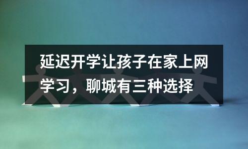 延迟开学让孩子在家上网学习,聊城有三种选择