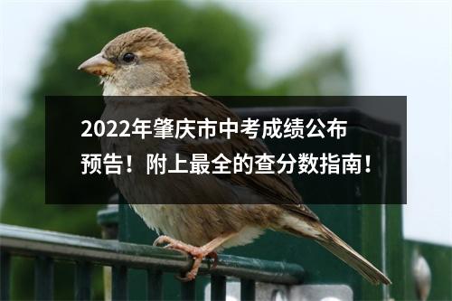 2022年肇庆市中考成绩公布预告!附上最全的查分数指南!