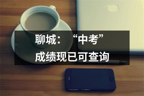 聊城:“中考”成绩现已可查询