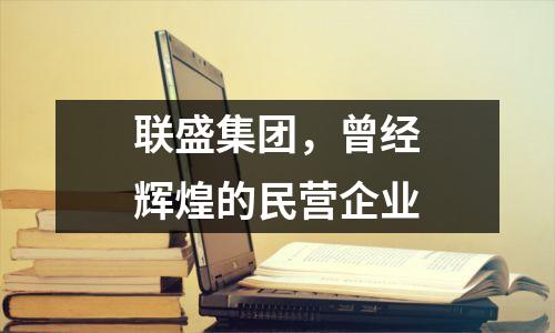 联盛集团,曾经辉煌的民营企业