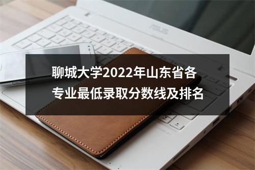 聊城大学2022年山东省各专业最低录取分数线及排名