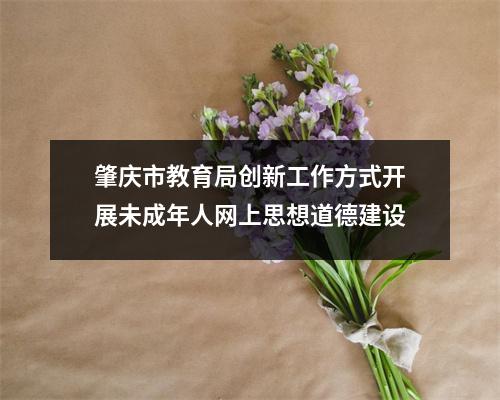 肇庆市教育局创新工作方式开展未成年人网上思想道德建设