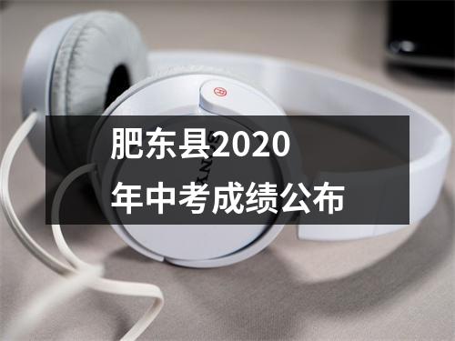 肥东县2020年中考成绩公布
