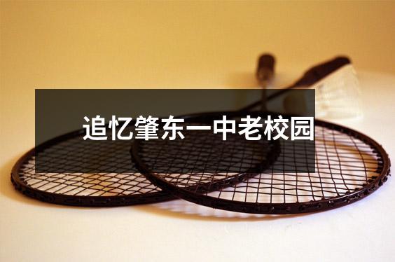 追忆肇东一中老校园