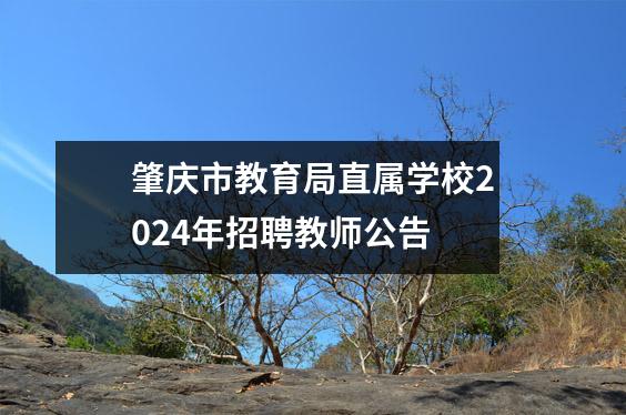 肇庆市教育局直属学校2024年招聘教师公告