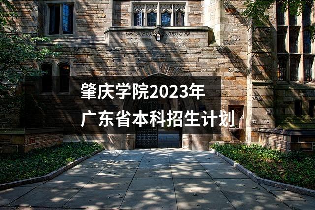 肇庆学院2023年广东省本科招生计划